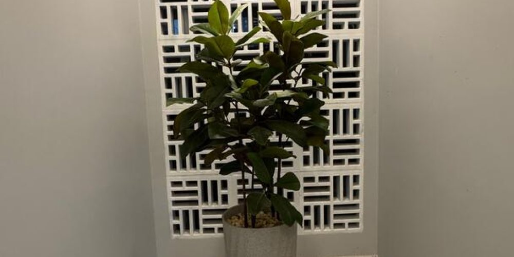 WhatsApp Image 2025-02-17 at 16.07.59