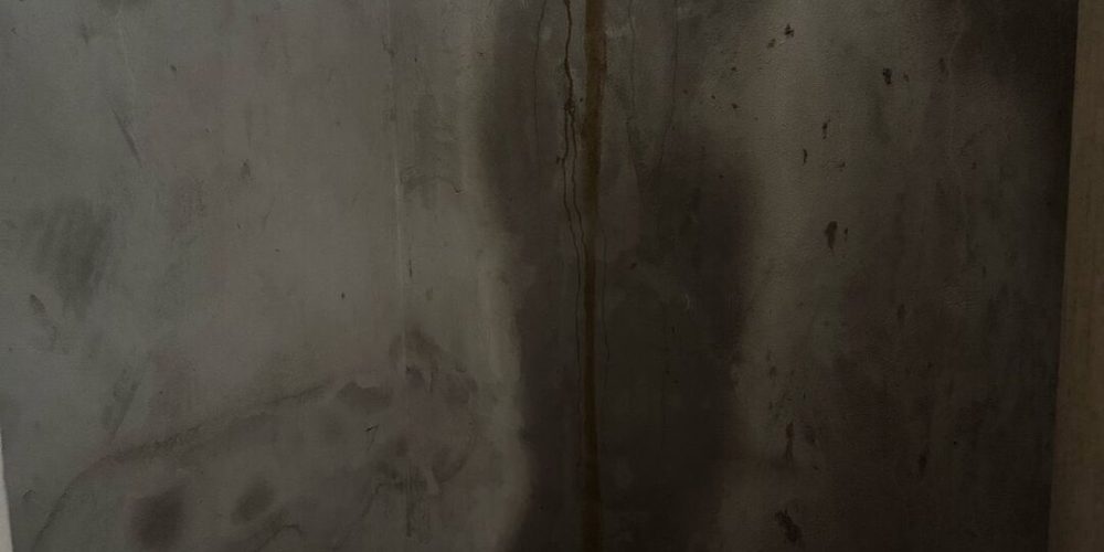 WhatsApp Image 2025-07-07 at 20.05.41 (1)